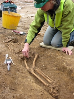 Excavating a medieval skeleton